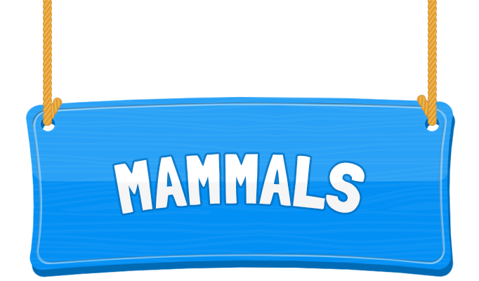 Mammals